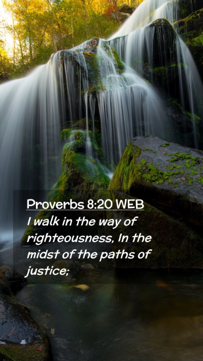 Picture 02 - Proverbs 8:20 WEB Mobile Phone Wallpaper - I walk in the way of righteousness, In the midst - Mobile Bible Verse Wallpaper