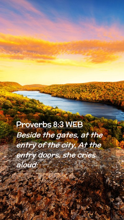 Picture 02 - Proverbs 8:3 WEB Mobile Phone Wallpaper - Beside the gates, at the entry of the city, At - Mobile Bible Verse Wallpaper