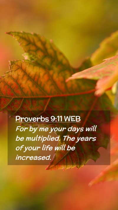 Picture 02 - Proverbs 9:11 WEB Mobile Phone Wallpaper - For by me your days will be multiplied. The years - Mobile Bible Verse Wallpaper