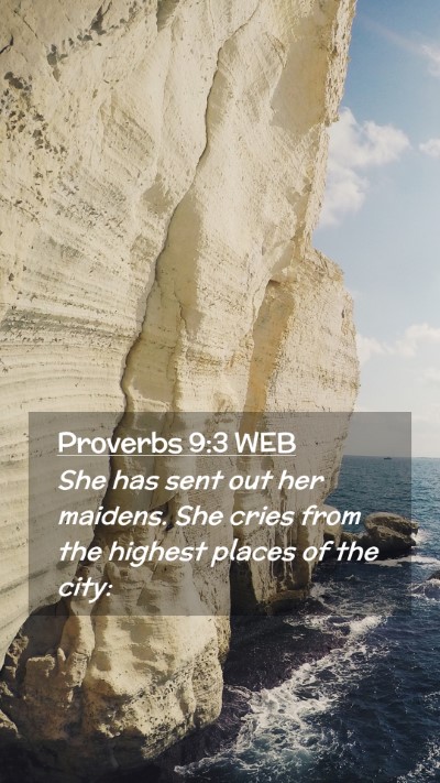 Picture 02 - Proverbs 9:3 WEB Mobile Phone Wallpaper - She has sent out her maidens. She cries from the - Mobile Bible Verse Wallpaper