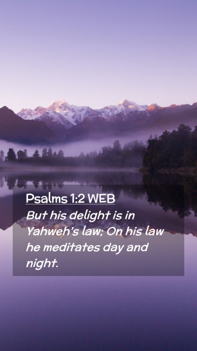 Picture 02 - Psalms 1:2 WEB Mobile Phone Wallpaper - But his delight is in Yahweh's law; On his law he - Mobile Bible Verse Wallpaper
