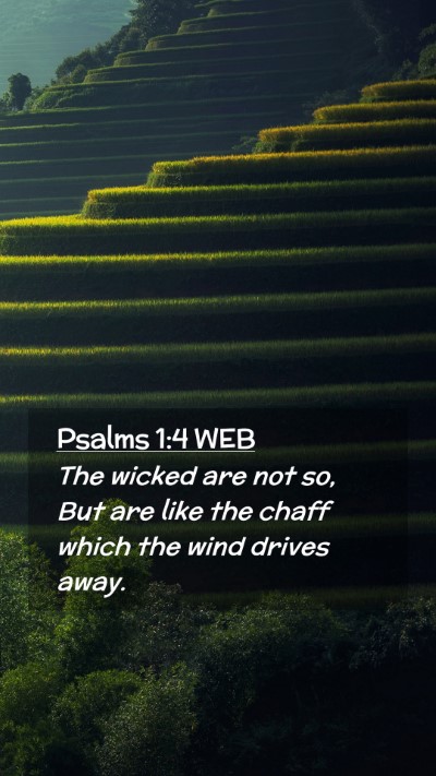 Picture 02 - Psalms 1:4 WEB Mobile Phone Wallpaper - The wicked are not so, But are like the chaff - Mobile Bible Verse Wallpaper