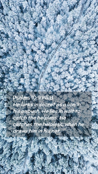 Picture 02 - Psalms 10:9 WEB Mobile Phone Wallpaper - He lurks in secret as a lion in his ambush. He - Mobile Bible Verse Wallpaper