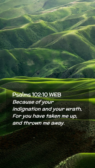 Picture 02 - Psalms 102:10 WEB Mobile Phone Wallpaper - Because of your indignation and your wrath, For - Mobile Bible Verse Wallpaper