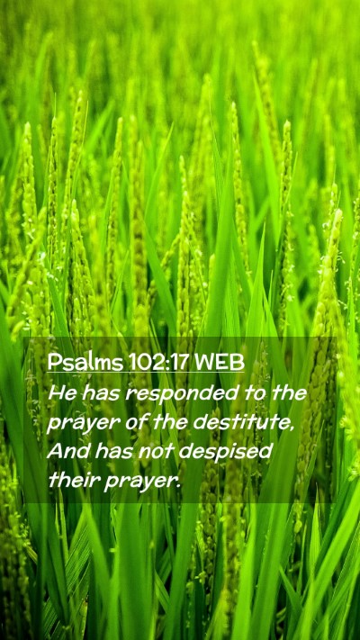 Picture 02 - Psalms 102:17 WEB Mobile Phone Wallpaper - He has responded to the prayer of the destitute, - Mobile Bible Verse Wallpaper