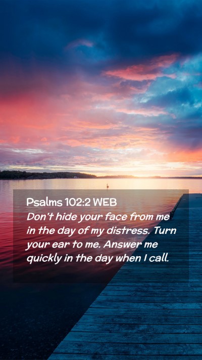 Picture 02 - Psalms 102:2 WEB Mobile Phone Wallpaper - Don't hide your face from me in the day of my - Mobile Bible Verse Wallpaper