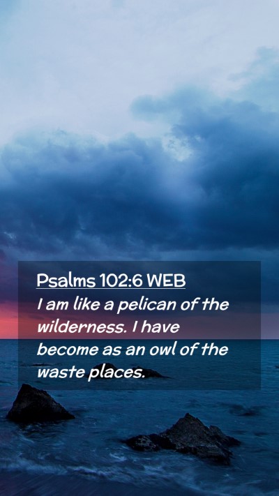 Picture 02 - Psalms 102:6 WEB Mobile Phone Wallpaper - I am like a pelican of the wilderness. I have - Mobile Bible Verse Wallpaper