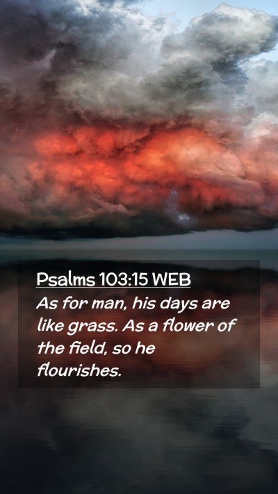 Picture 02 - Psalms 103:15 WEB Mobile Phone Wallpaper - As for man, his days are like grass. As a flower - Mobile Bible Verse Wallpaper