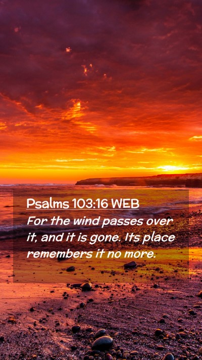Picture 02 - Psalms 103:16 WEB Mobile Phone Wallpaper - For the wind passes over it, and it is gone. Its - Mobile Bible Verse Wallpaper