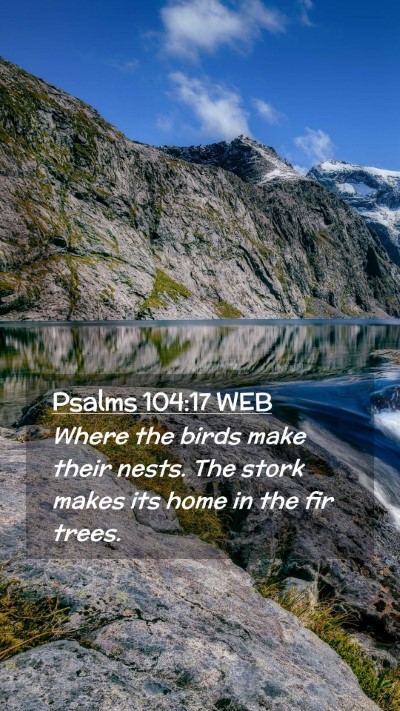 Picture 02 - Psalms 104:17 WEB Mobile Phone Wallpaper - Where the birds make their nests. The stork makes - Mobile Bible Verse Wallpaper