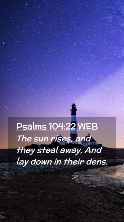Picture 02 - Psalms 104:22 WEB Mobile Phone Wallpaper - The sun rises, and they steal away, And lay down - Mobile Bible Verse Wallpaper
