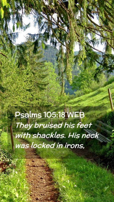 Picture 02 - Psalms 105:18 WEB Mobile Phone Wallpaper - They bruised his feet with shackles. His neck was - Mobile Bible Verse Wallpaper