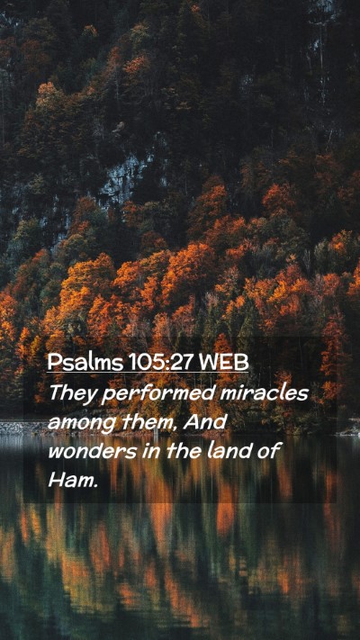 Picture 02 - Psalms 105:27 WEB Mobile Phone Wallpaper - They performed miracles among them, And wonders - Mobile Bible Verse Wallpaper