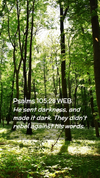 Picture 02 - Psalms 105:28 WEB Mobile Phone Wallpaper - He sent darkness, and made it dark. They didn't - Mobile Bible Verse Wallpaper