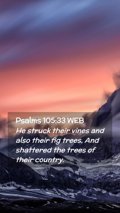 Picture 02 - Psalms 105:33 WEB Mobile Phone Wallpaper - He struck their vines and also their fig trees, - Mobile Bible Verse Wallpaper