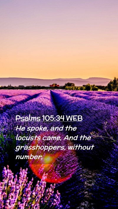 Picture 02 - Psalms 105:34 WEB Mobile Phone Wallpaper - He spoke, and the locusts came, And the - Mobile Bible Verse Wallpaper