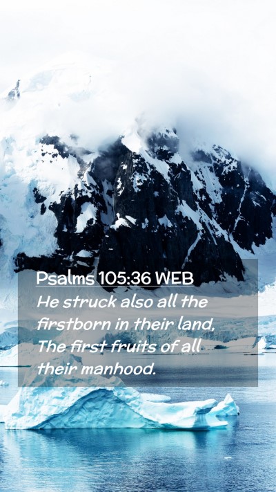 Picture 02 - Psalms 105:36 WEB Mobile Phone Wallpaper - He struck also all the firstborn in their land, - Mobile Bible Verse Wallpaper