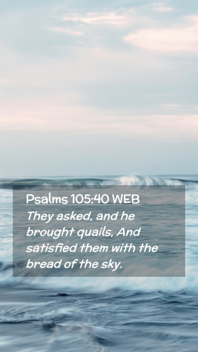 Picture 02 - Psalms 105:40 WEB Mobile Phone Wallpaper - They asked, and he brought quails, And satisfied - Mobile Bible Verse Wallpaper