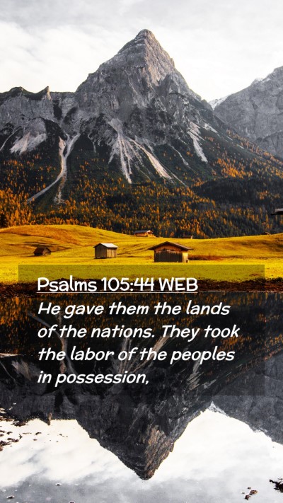 Picture 02 - Psalms 105:44 WEB Mobile Phone Wallpaper - He gave them the lands of the nations. They took - Mobile Bible Verse Wallpaper