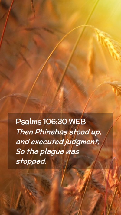 Picture 02 - Psalms 106:30 WEB Mobile Phone Wallpaper - Then Phinehas stood up, and executed judgment, So - Mobile Bible Verse Wallpaper