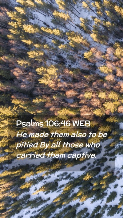 Picture 02 - Psalms 106:46 WEB Mobile Phone Wallpaper - He made them also to be pitied By all those who - Mobile Bible Verse Wallpaper