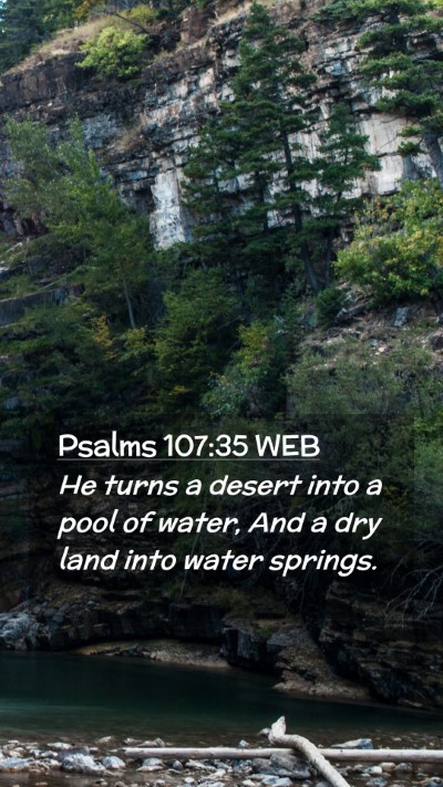 Picture 02 - Psalms 107:35 WEB Mobile Phone Wallpaper - He turns a desert into a pool of water, And a dry - Mobile Bible Verse Wallpaper