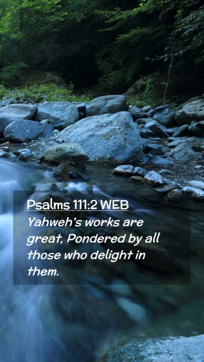 Picture 02 - Psalms 111:2 WEB Mobile Phone Wallpaper - Yahweh's works are great, Pondered by all those - Mobile Bible Verse Wallpaper