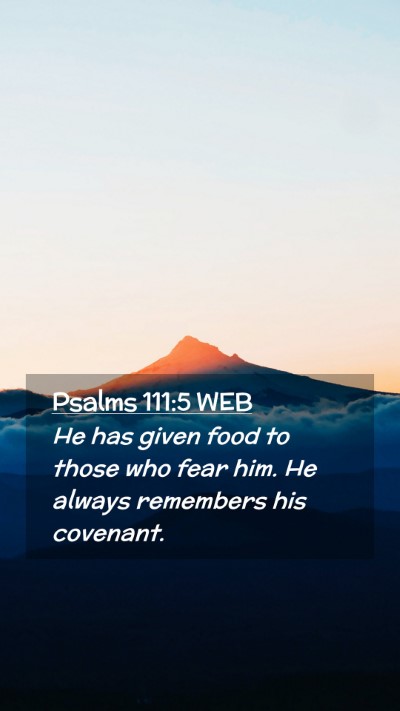 Picture 02 - Psalms 111:5 WEB Mobile Phone Wallpaper - He has given food to those who fear him. He - Mobile Bible Verse Wallpaper