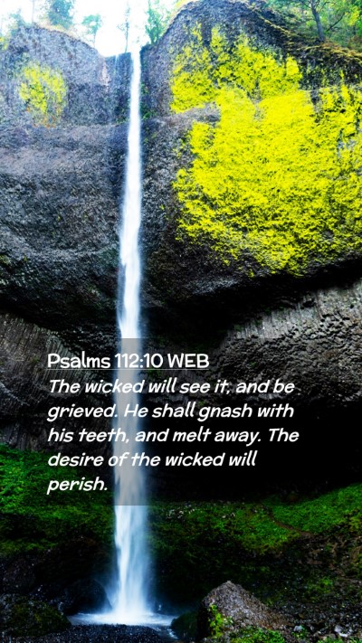 Picture 02 - Psalms 112:10 WEB Mobile Phone Wallpaper - The wicked will see it, and be grieved. He shall - Mobile Bible Verse Wallpaper