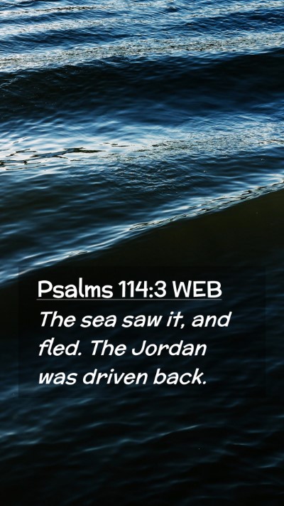 Picture 02 - Psalms 114:3 WEB Mobile Phone Wallpaper - The sea saw it, and fled. The Jordan was driven - Mobile Bible Verse Wallpaper
