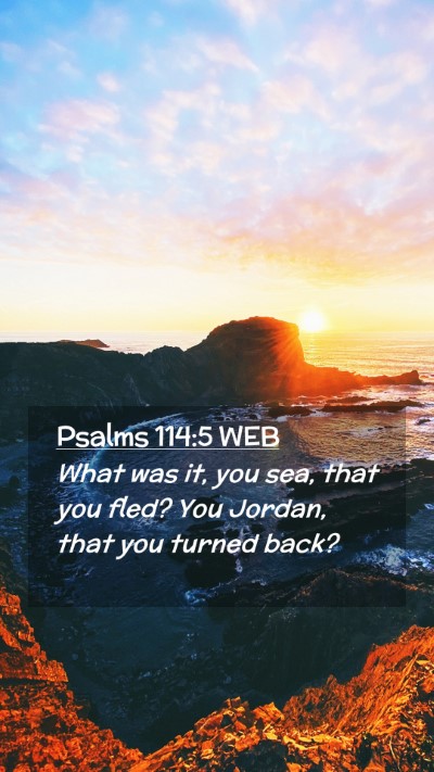 Picture 02 - Psalms 114:5 WEB Mobile Phone Wallpaper - What was it, you sea, that you fled? You Jordan, - Mobile Bible Verse Wallpaper