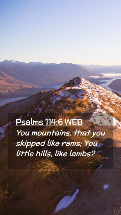 Picture 02 - Psalms 114:6 WEB Mobile Phone Wallpaper - You mountains, that you skipped like rams; You - Mobile Bible Verse Wallpaper