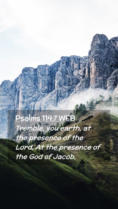 Picture 02 - Psalms 114:7 WEB Mobile Phone Wallpaper - Tremble, you earth, at the presence of the Lord, - Mobile Bible Verse Wallpaper