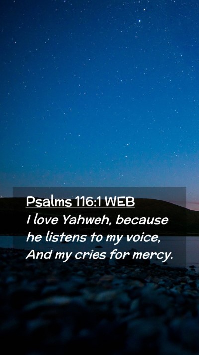 Picture 02 - Psalms 116:1 WEB Mobile Phone Wallpaper - I love Yahweh, because he listens to my voice, - Mobile Bible Verse Wallpaper