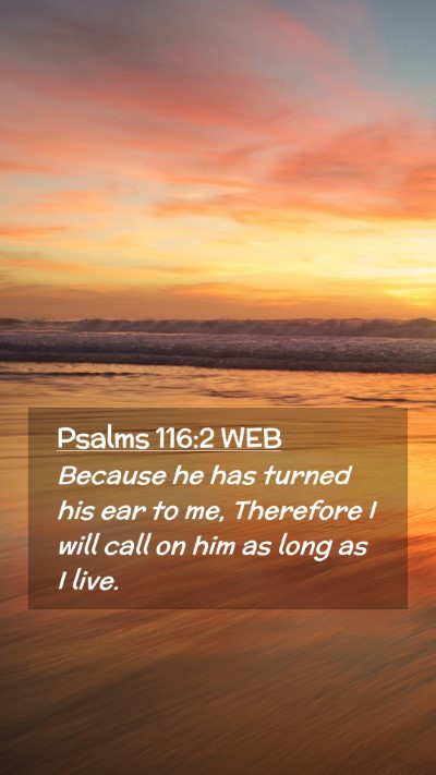 Picture 02 - Psalms 116:2 WEB Mobile Phone Wallpaper - Because he has turned his ear to me, Therefore I - Mobile Bible Verse Wallpaper