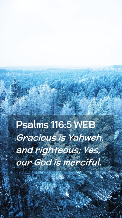 Picture 02 - Psalms 116:5 WEB Mobile Phone Wallpaper - Gracious is Yahweh, and righteous; Yes, our God - Mobile Bible Verse Wallpaper