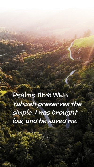 Picture 02 - Psalms 116:6 WEB Mobile Phone Wallpaper - Yahweh preserves the simple. I was brought low, - Mobile Bible Verse Wallpaper
