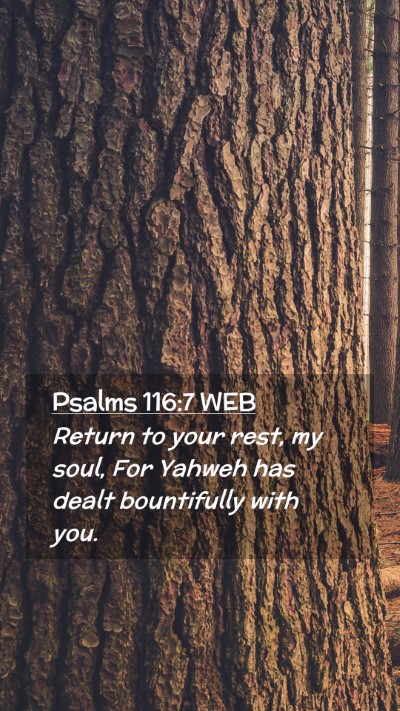 Picture 02 - Psalms 116:7 WEB Mobile Phone Wallpaper - Return to your rest, my soul, For Yahweh has - Mobile Bible Verse Wallpaper