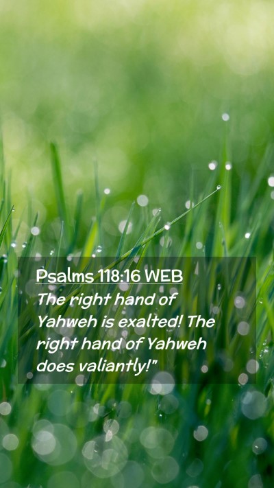 Picture 02 - Psalms 118:16 WEB Mobile Phone Wallpaper - The right hand of Yahweh is exalted! The right - Mobile Bible Verse Wallpaper