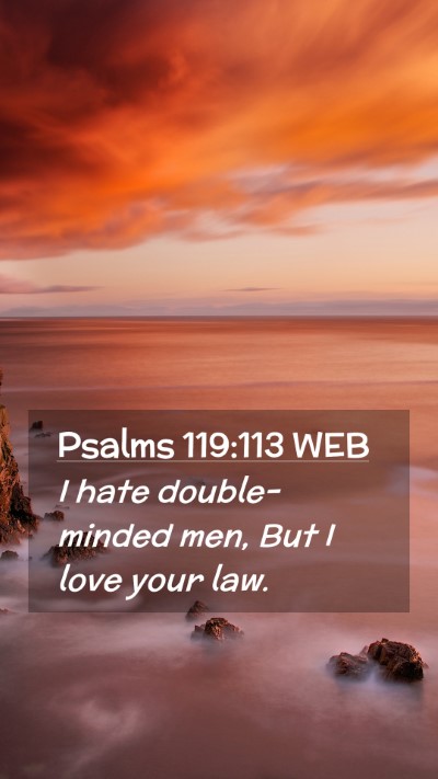 Picture 02 - Psalms 119:113 WEB Mobile Phone Wallpaper - I hate double-minded men, But I love your - Mobile Bible Verse Wallpaper