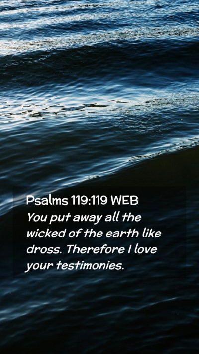 Picture 02 - Psalms 119:119 WEB Mobile Phone Wallpaper - You put away all the wicked of the earth like - Mobile Bible Verse Wallpaper