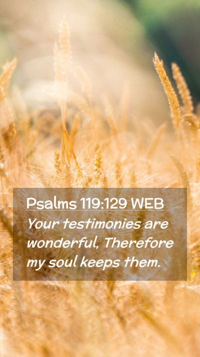 Picture 02 - Psalms 119:129 WEB Mobile Phone Wallpaper - Your testimonies are wonderful, Therefore my soul - Mobile Bible Verse Wallpaper