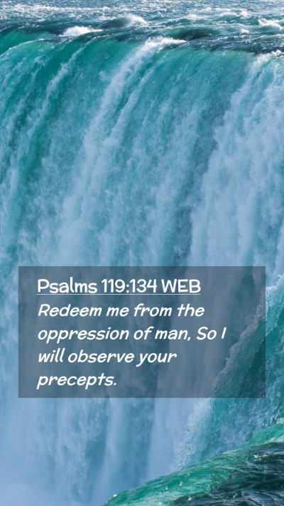 Picture 02 - Psalms 119:134 WEB Mobile Phone Wallpaper - Redeem me from the oppression of man, So I will - Mobile Bible Verse Wallpaper