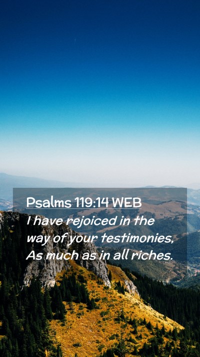 Picture 02 - Psalms 119:14 WEB Mobile Phone Wallpaper - I have rejoiced in the way of your testimonies, - Mobile Bible Verse Wallpaper