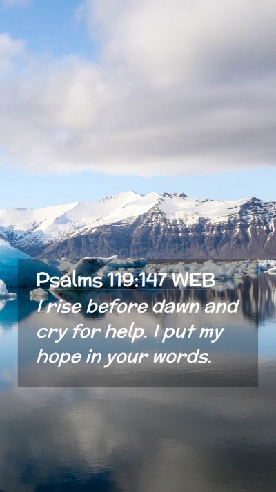Picture 02 - Psalms 119:147 WEB Mobile Phone Wallpaper - I rise before dawn and cry for help. I put my - Mobile Bible Verse Wallpaper
