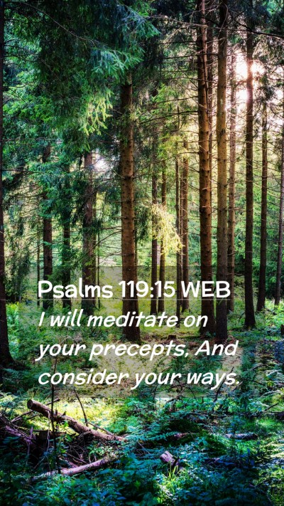 Picture 02 - Psalms 119:15 WEB Mobile Phone Wallpaper - I will meditate on your precepts, And consider - Mobile Bible Verse Wallpaper