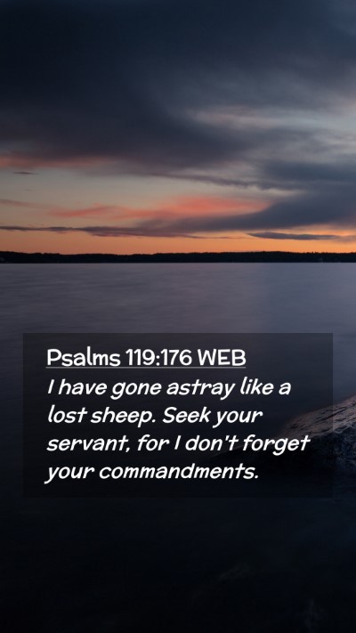 Picture 02 - Psalms 119:176 WEB Mobile Phone Wallpaper - I have gone astray like a lost sheep. Seek your - Mobile Bible Verse Wallpaper