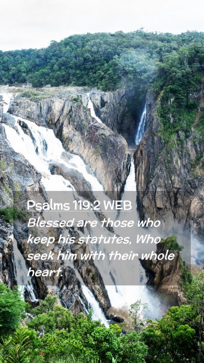 Picture 02 - Psalms 119:2 WEB Mobile Phone Wallpaper - Blessed are those who keep his statutes, Who seek - Mobile Bible Verse Wallpaper