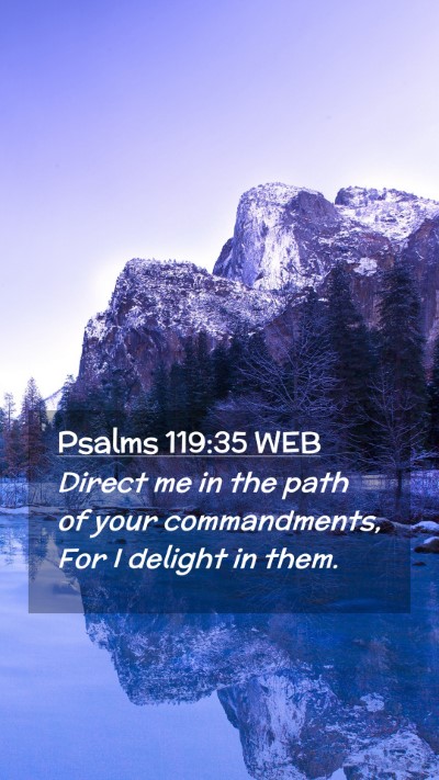 Picture 02 - Psalms 119:35 WEB Mobile Phone Wallpaper - Direct me in the path of your commandments, For I - Mobile Bible Verse Wallpaper