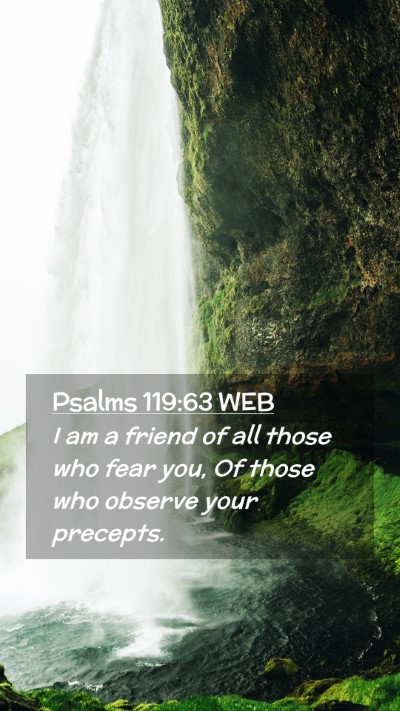 Picture 02 - Psalms 119:63 WEB Mobile Phone Wallpaper - I am a friend of all those who fear you, Of those - Mobile Bible Verse Wallpaper